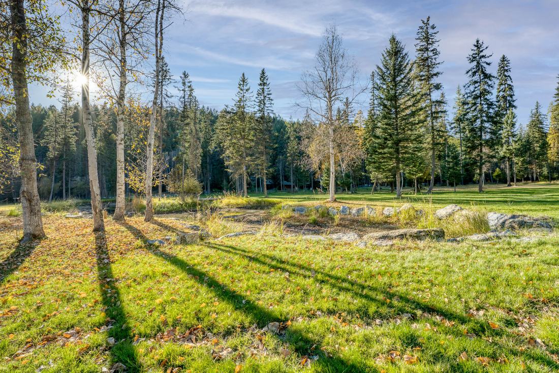 The meadow behind the house