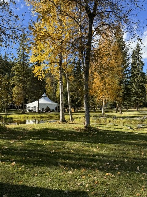 A white tent on the lawn under golden fall aspens